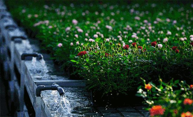 开远有多远,开远是哪