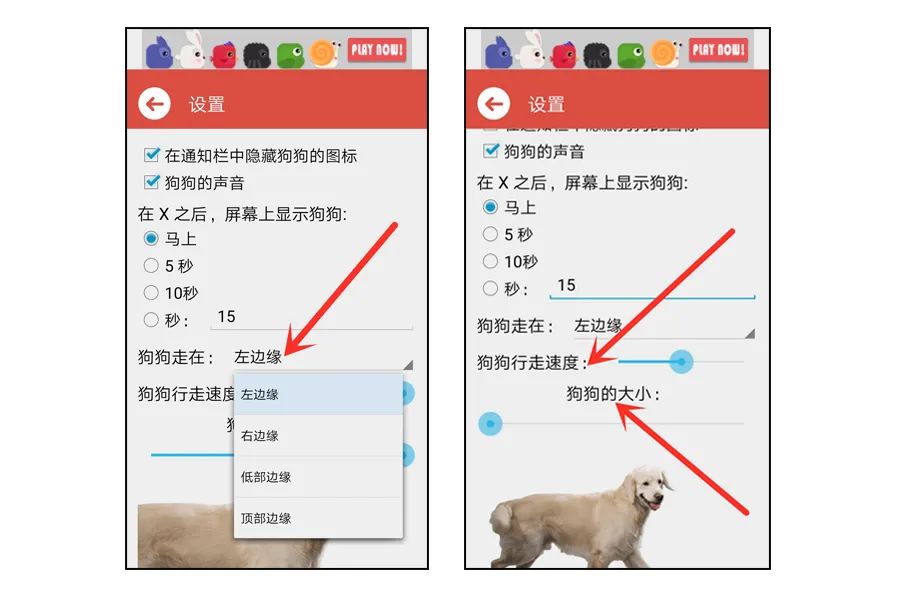 养一只金毛的所有步骤,教你在手机养宠物全部过程