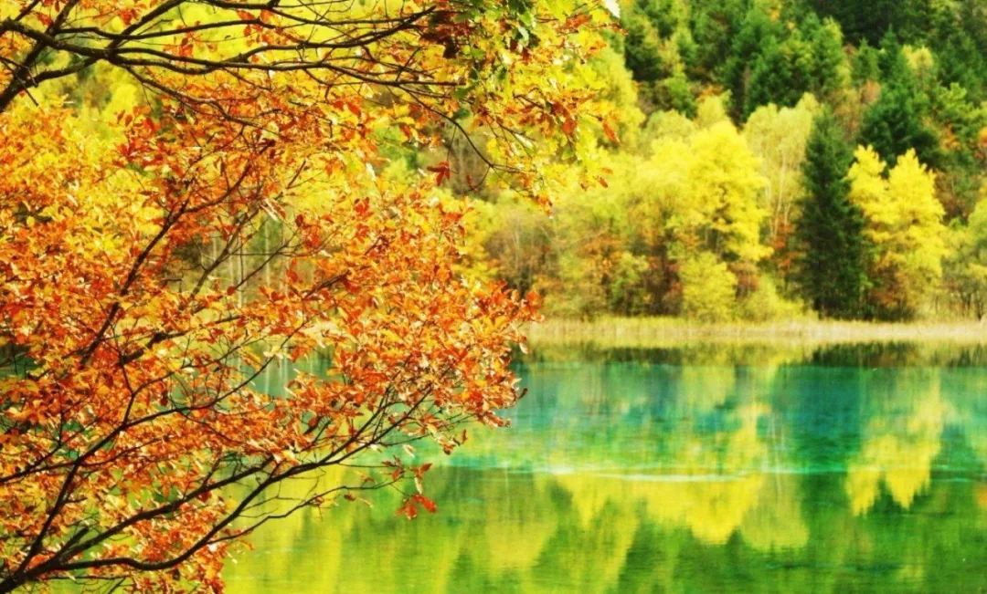 这么全的中国地理合集！看到你就是赚到了！