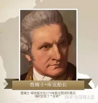 澳洲茶树的优点和缺点,澳洲茶树枝叶