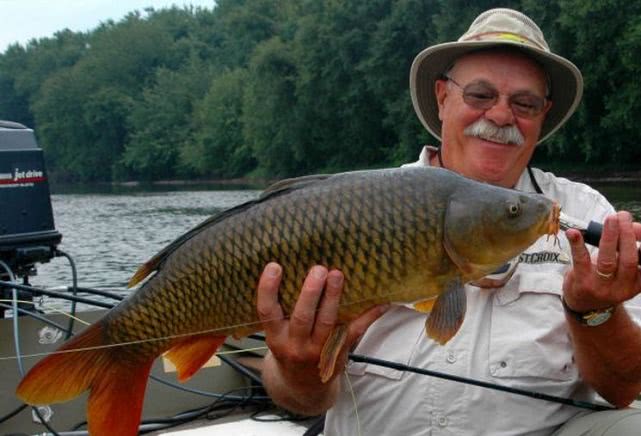 在澳洲的生活是一种怎样的体验：这边的人很懒，非常喜欢钓鱼