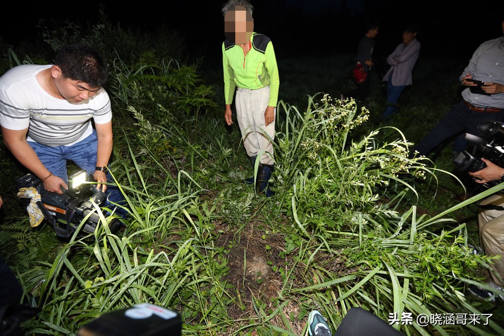 韩国世越号为什么学生不弃船,中国救援韩国船世越号发现了什么