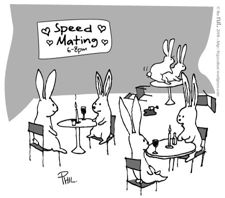 杀死一只兔子的预兆,杀死兔子的方法