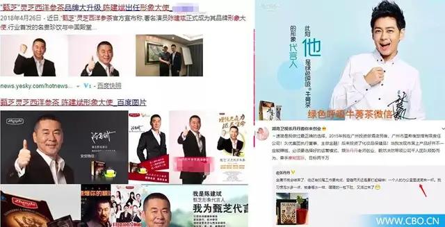 摩能国际传销案,摩能国际传销案判决