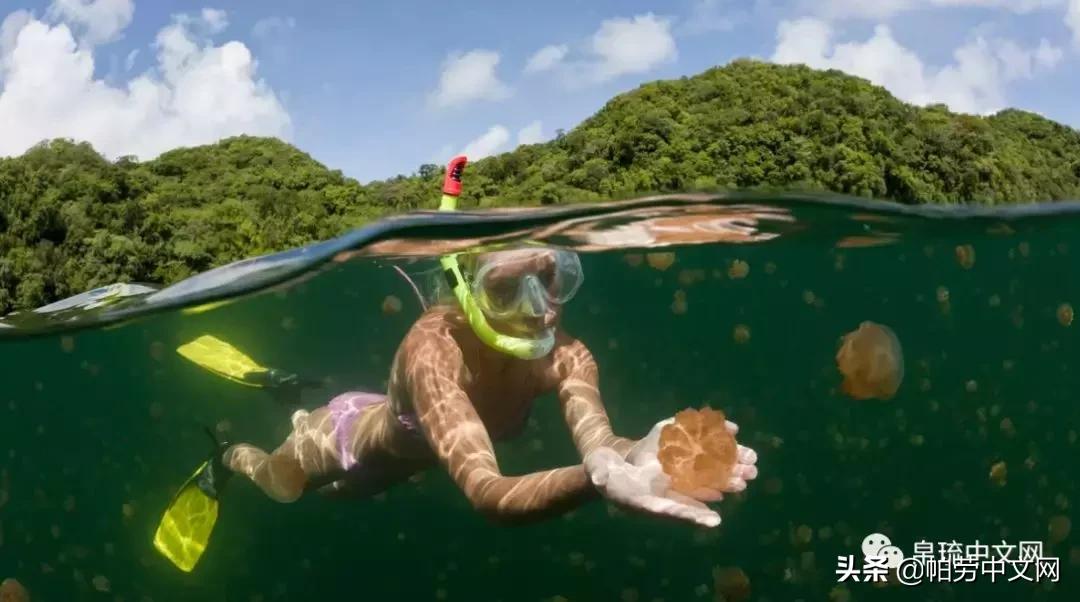 甯曞姵姘存瘝婀栫殑姘存瘝鍙互鎽稿悧,甯曞姵姘存瘝杩樿兘鎶撳悧