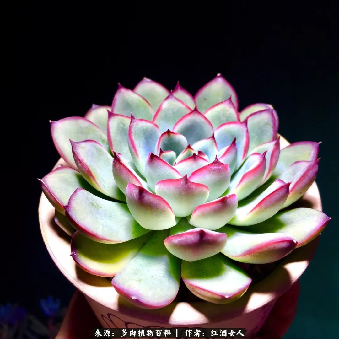 记录走过的美景留下美好的回忆,记录走过的每一段美好时光