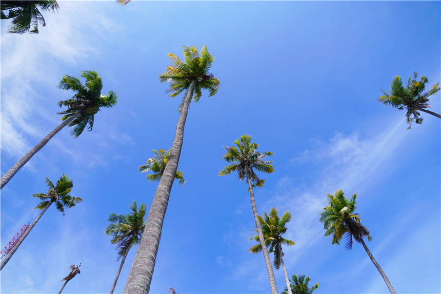 马来西亚巴瑶族纪录片,马来西亚巴瑶族最新消息