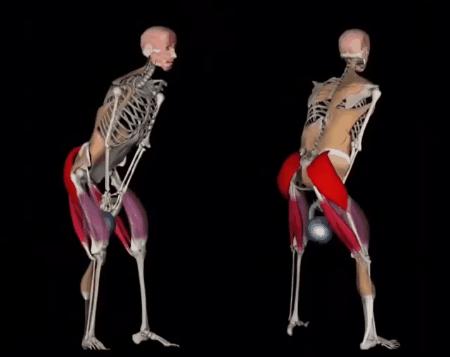 髋发力动作模式,髋骨疼痛的动作怎么练