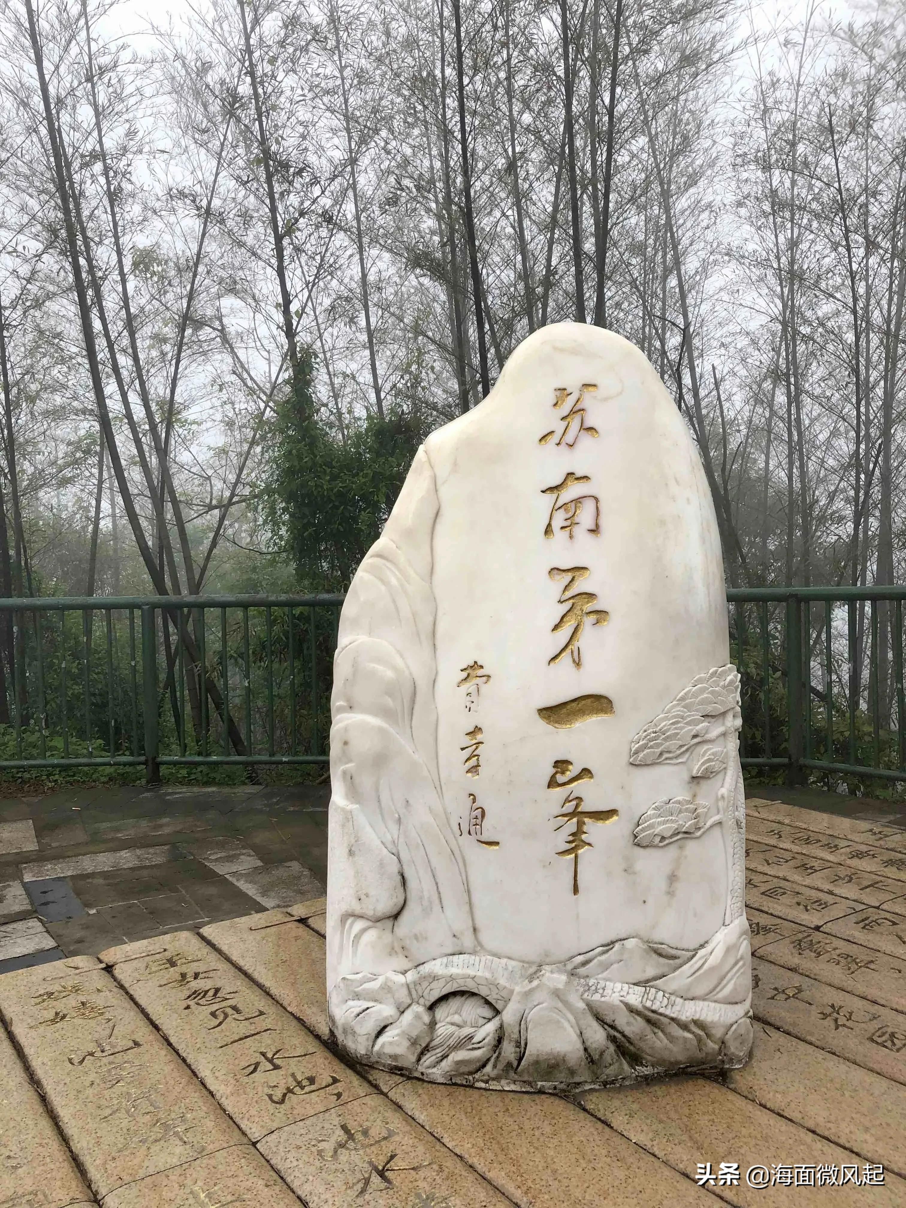 百里竹海森林氧吧,湖北宜兴竹海天然氧吧