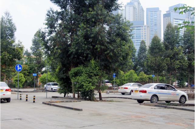 科二科三不是练得越多越好,今天蜀安驾校详解