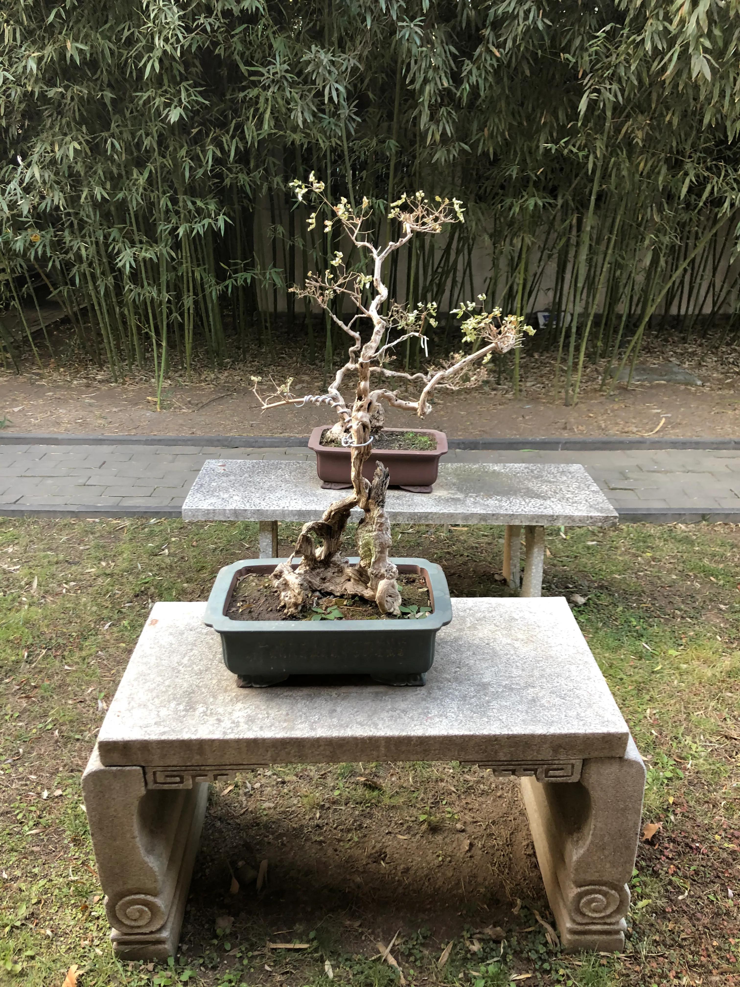 平顶山河滨公园旅游攻略,平顶山森林公园游记