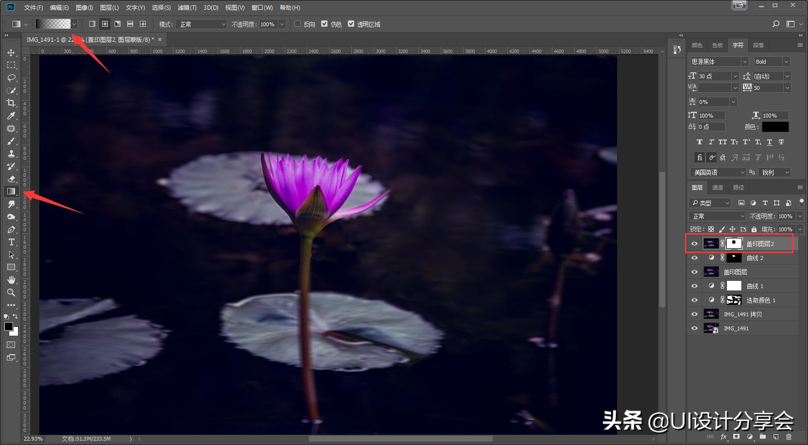 ps画意荷花如何调出洇染效果,ps荷花多重曝光的后期调色教程