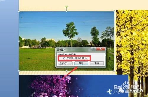 ppt文件太大怎样将ppt进行压缩,ppt占内存特别大怎么压缩