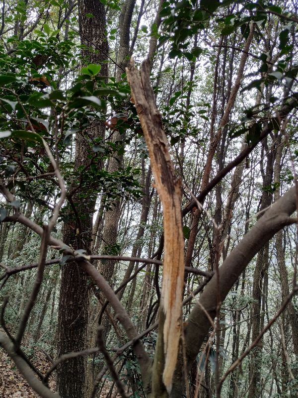 杭州市周末自驾游去哪里好玩,杭州出发周末旅游攻略