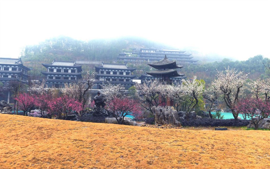 根博园根雕,根宫佛国根雕视频