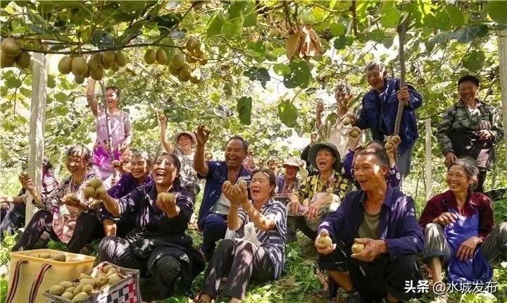 水城县特色产业,全域水城美丽乡村建设