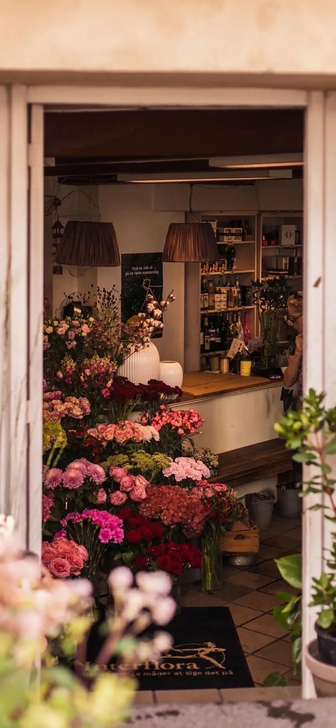 洒脱逍遥壁纸,手机壁纸自由洒脱