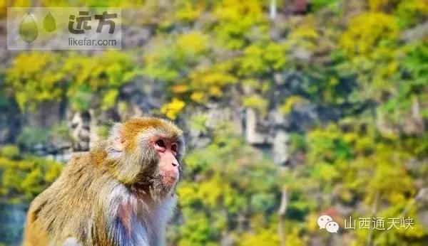 巍巍太行山山峰险峻,太行山奇峰峻岭
