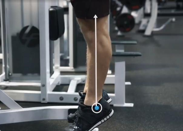 如何锻炼小腿肌肉使小腿变细,小腿肌肉为什么练不出线条