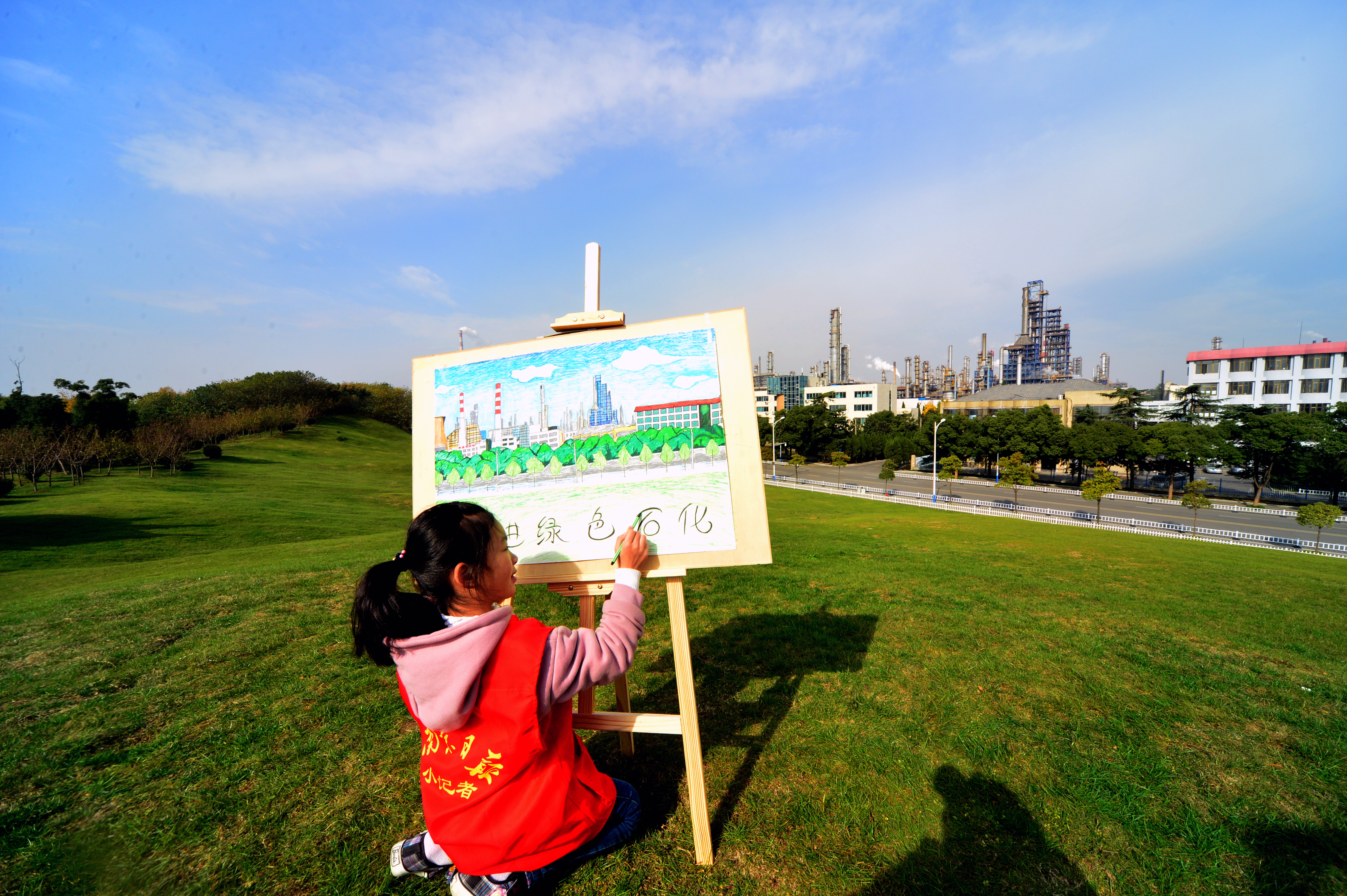 金陵石化哪个厂比较好,金陵石化烷基苯厂简介