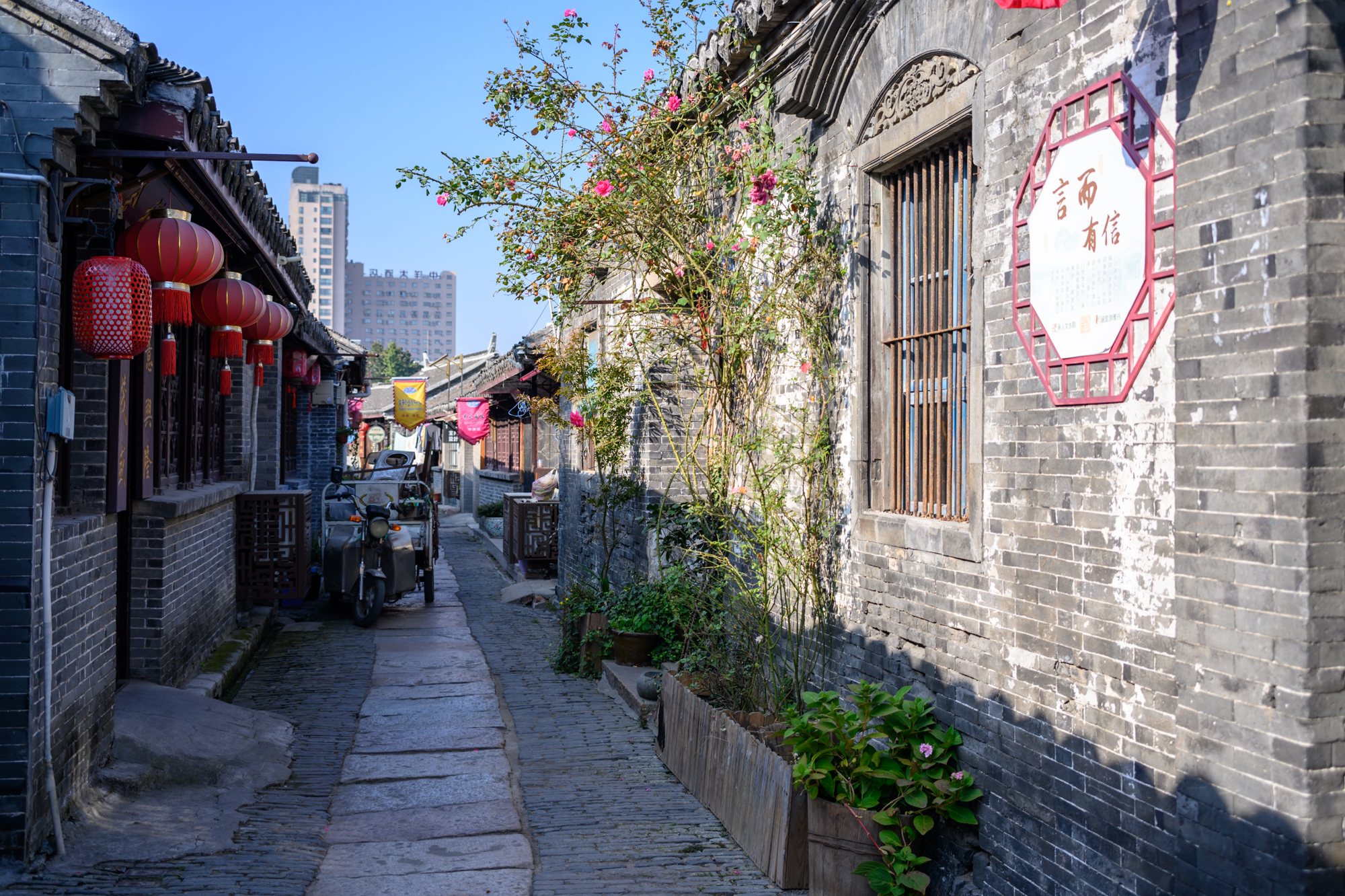 如皋长寿之乡在哪,如皋早茶必吃十大小吃