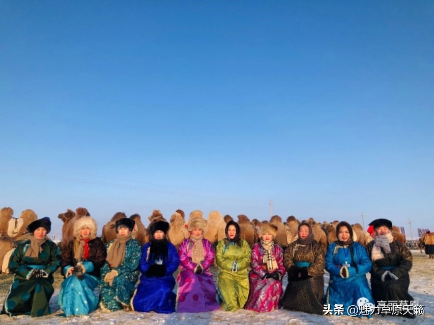 冬天的呼伦贝尔是这样的,今年呼伦贝尔的旅游