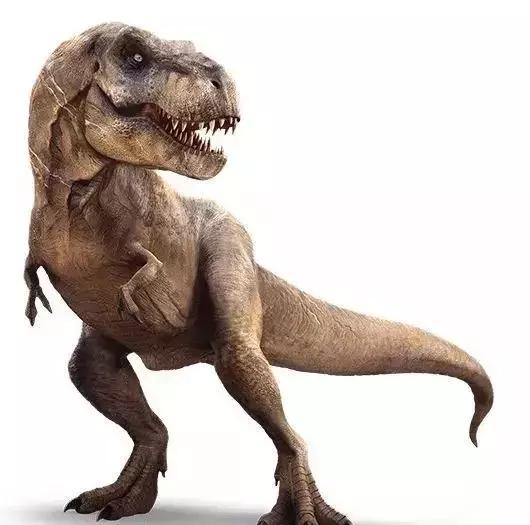 1600万年前称霸地球的有哪些,45亿年的地球有多少霸主