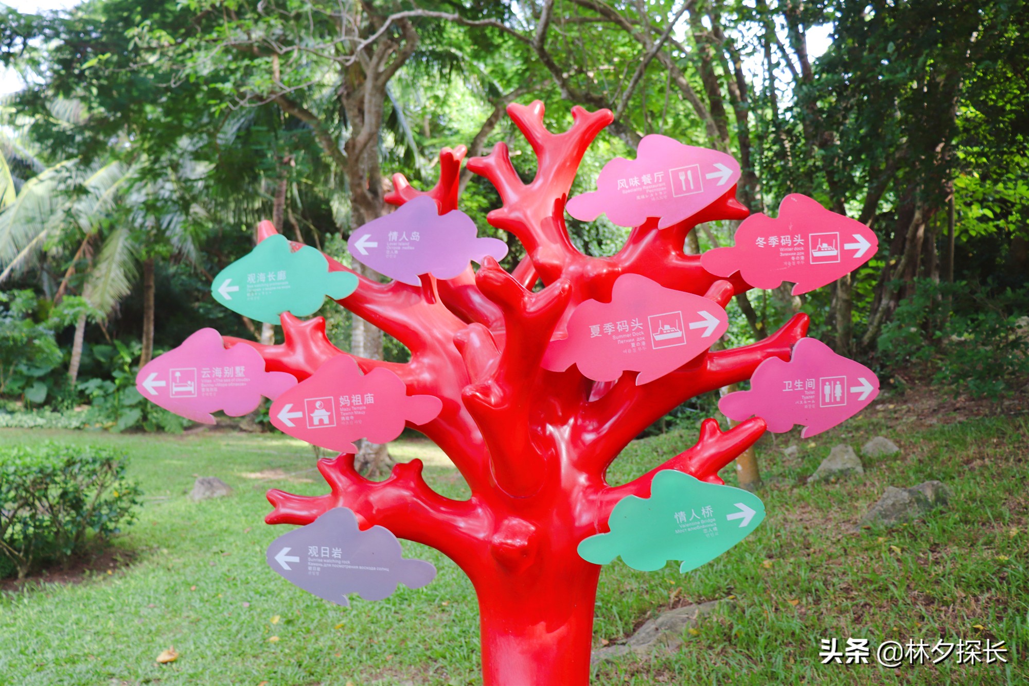 蜈支洲岛第一岛,海南潜水蜈支洲岛