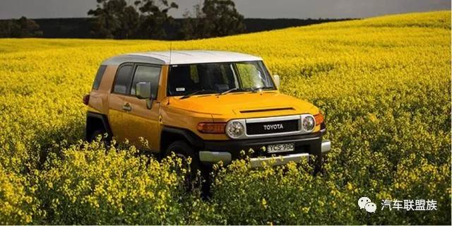 世界上越野性能最强十款的车,全球最厉害的十大越野车型