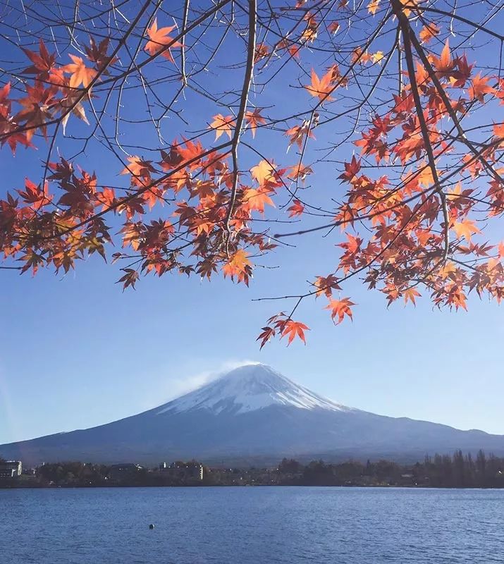曾峥|旅行的狂热者,创业是为了更好地旅行