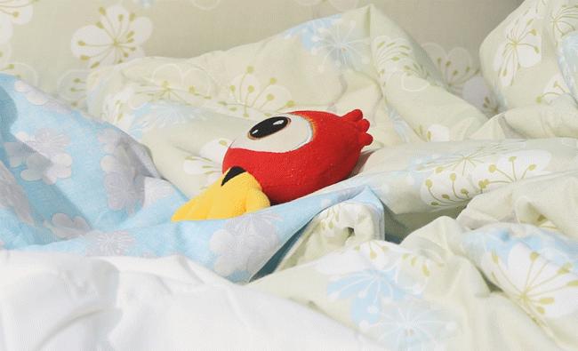 雅芳婷椰棕,雅芳婷测评