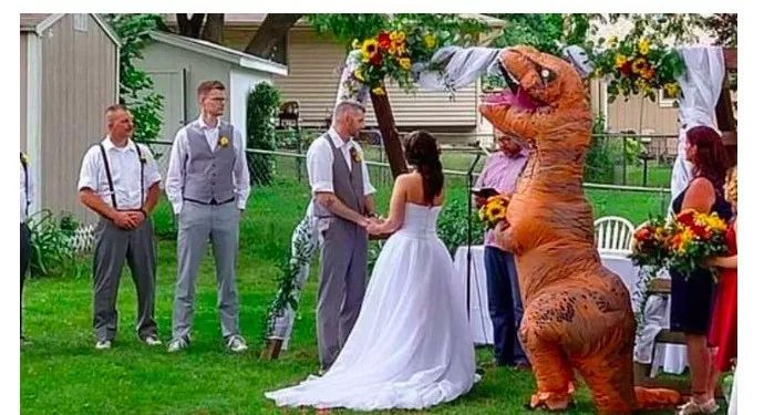 天猫双11，海外囤中国货翻倍，四川自贡“恐龙”成了全球爆品