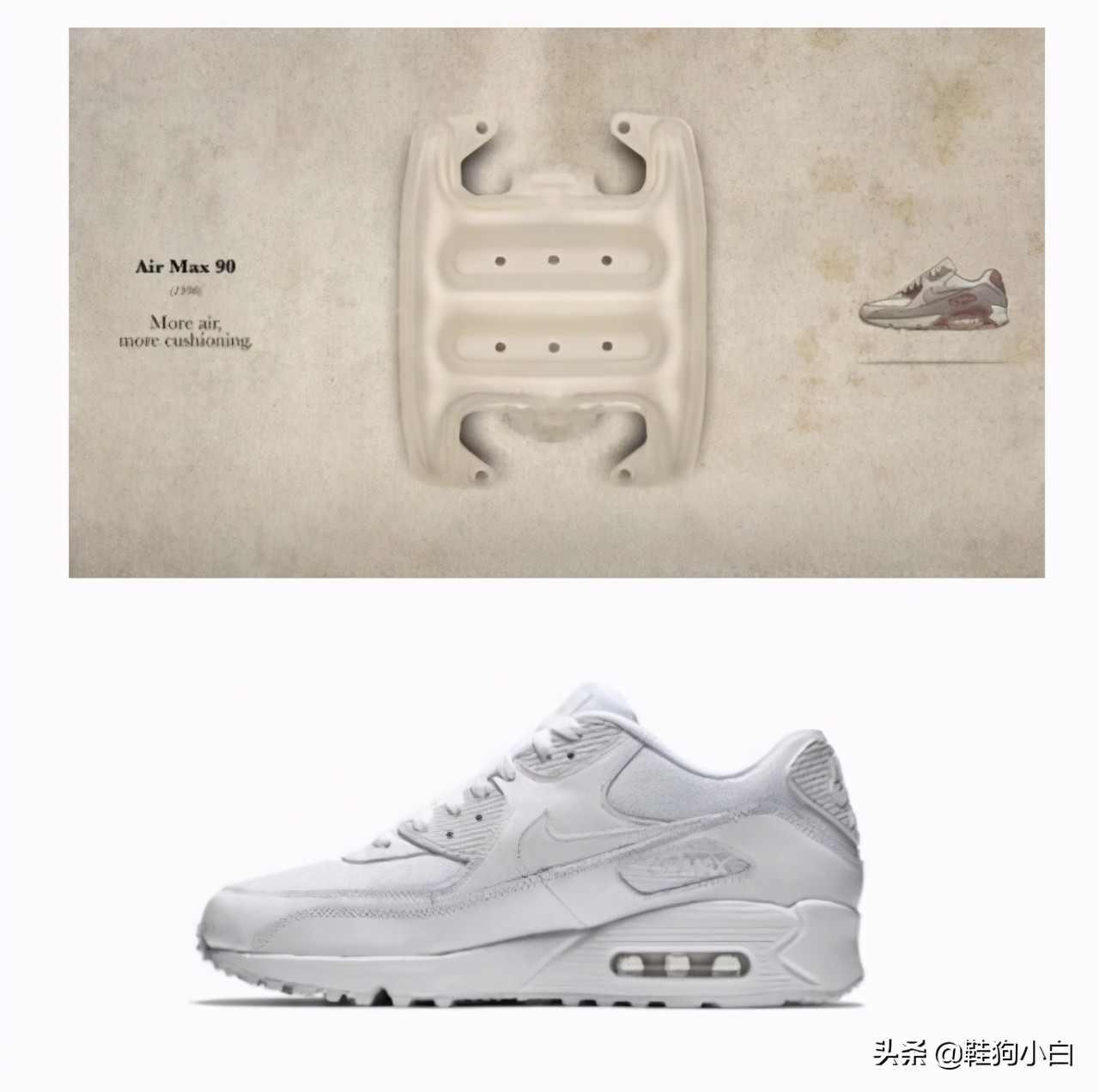 科普向动画特点,nike气垫科普