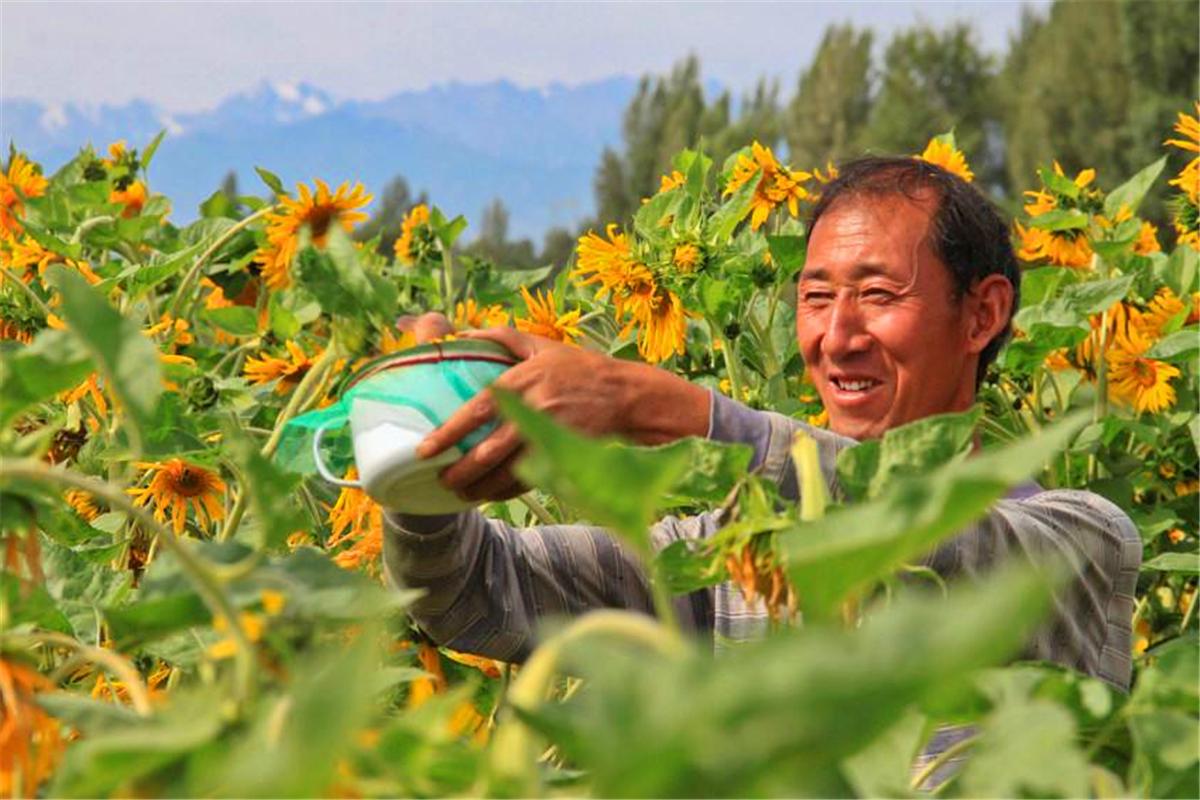 妙药难医冤孽病什么意思,妙药难医冤孽病下半句