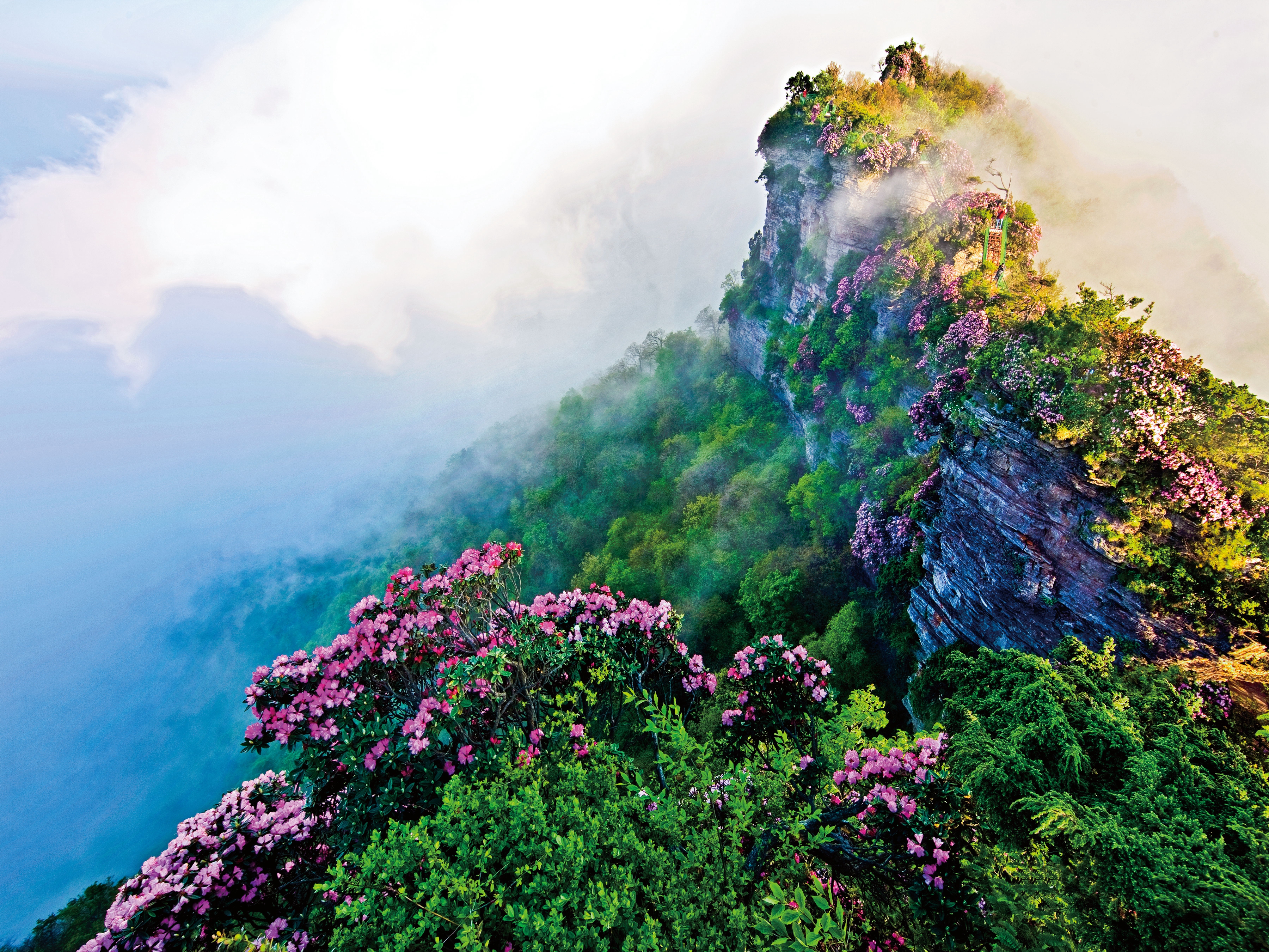巴中光雾山红叶的最佳时间,红叶谷打卡地