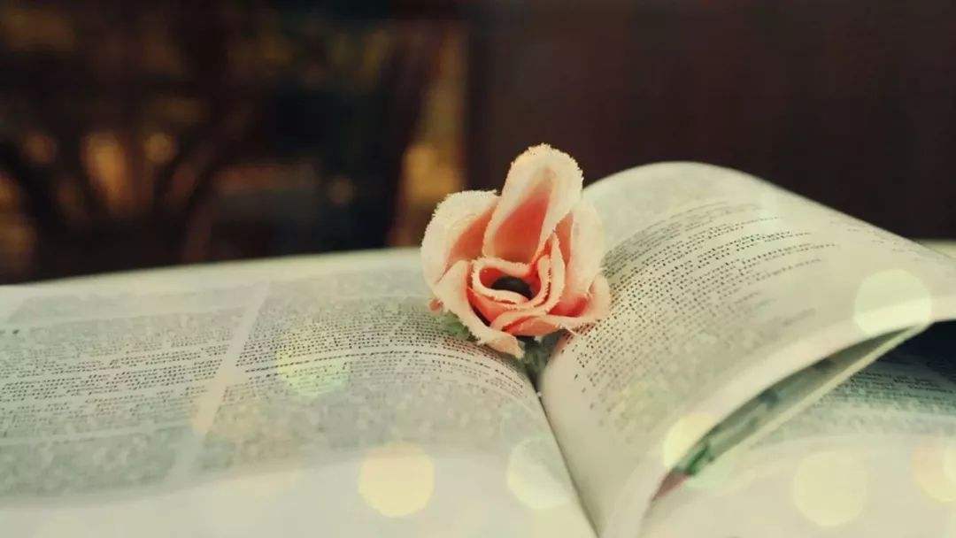 十个最苦白手起家富豪,白手起家的千万富翁是如何做到的