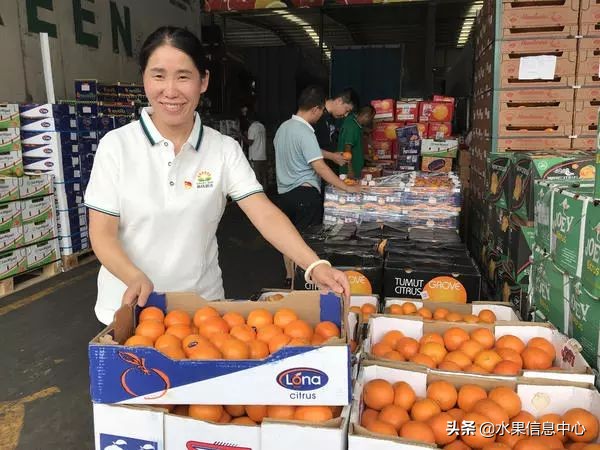 水果市场打拼的女人,卖水果的女人们