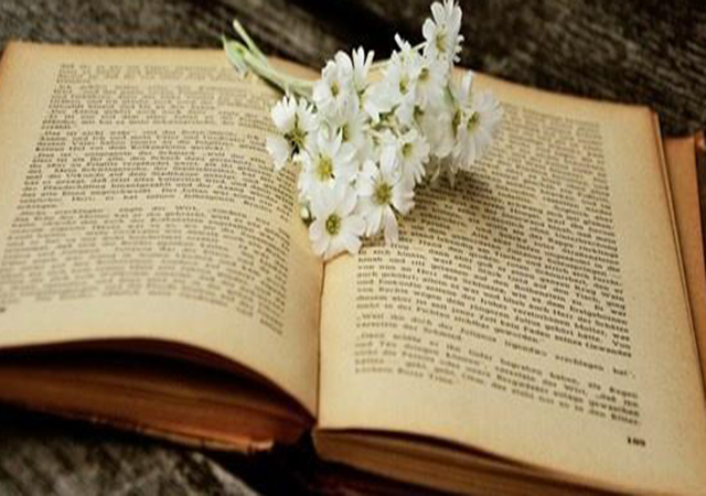 产品文案怎么吸引人金句很重要,产品卖点经典文案