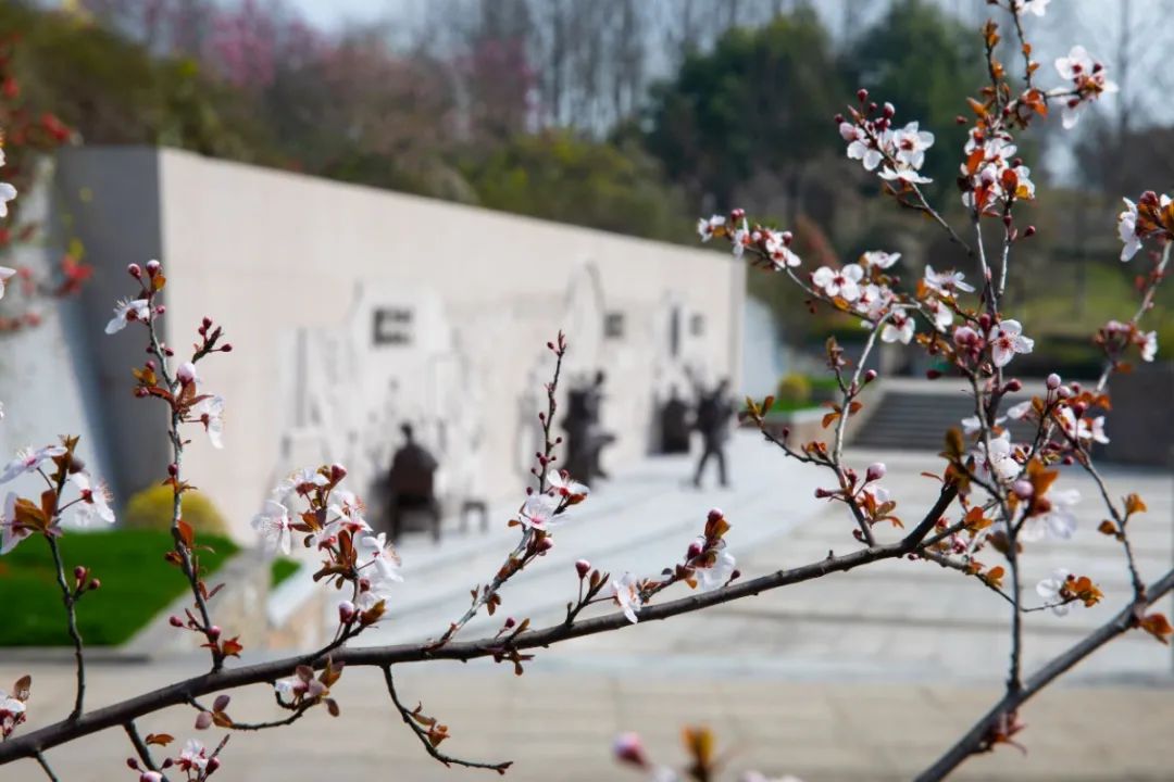 杭州美职学校风景,杭州美丽学校评选