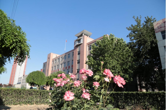 初中毕业学什么手艺有前途,初中毕业学什么技术有前途