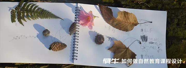 绿蚂蚁户外西安,户外蚂蚁彻底消灭的方法