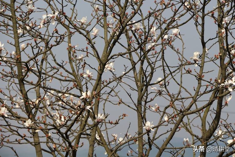赣州峰山附近一日游自驾游景点,赣州峰山美景