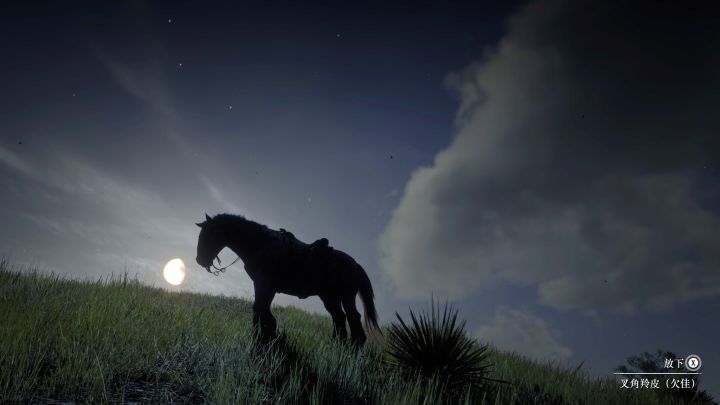 荒野大镖客救赎2新手攻略,荒野大镖客救赎2怎么获取白马