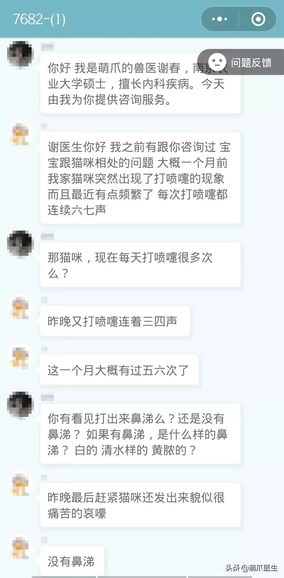 足不出户线上看诊,24小时猫病在线咨询
