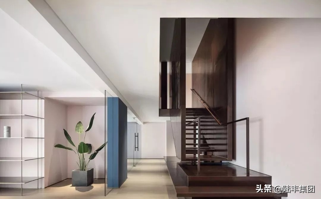 人人点赞是一种怎样的感受？涂兰朵给你答案