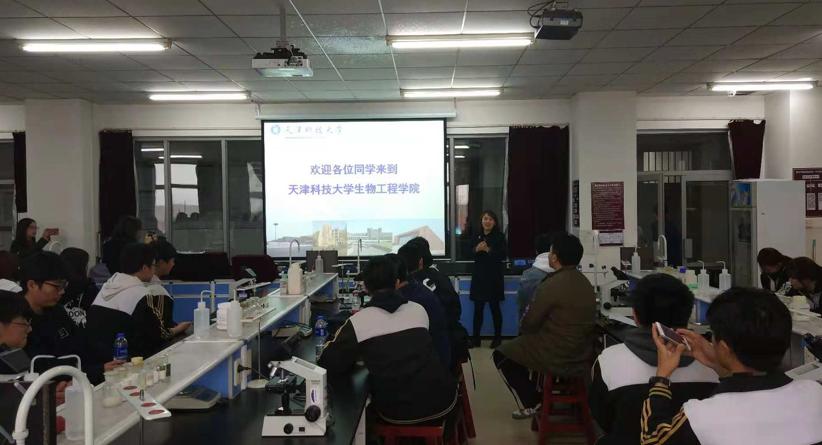 泰达第二中学,泰达经济开发区第二中学