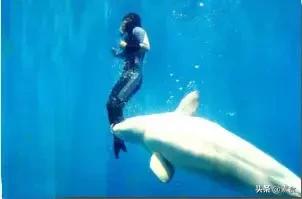 如何看待为了保护动物而吃素,素食拯救了我的生命