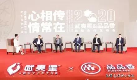 茶企和茶产业合作方案,茶叶产销合作模式