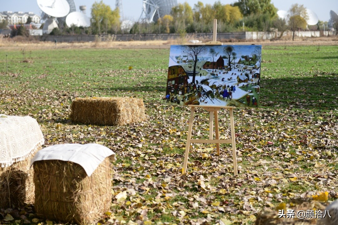 没有比利时花园游，来点比利时啤酒吧|随笔