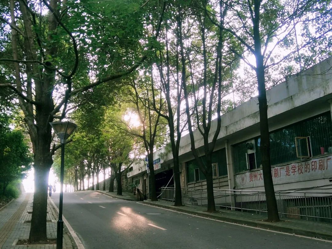 向往的生活1中的小院,精装版向往的生活